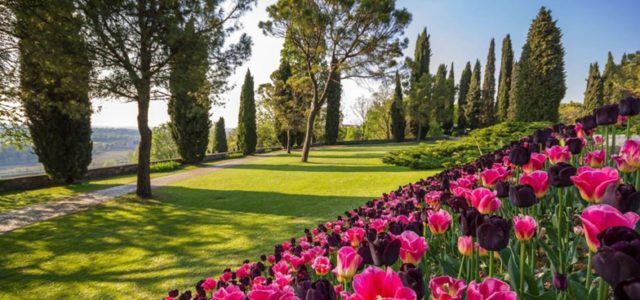 offerta sigurta hotel agli ulivi