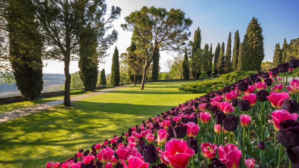 offerta sigurta hotel agli ulivi