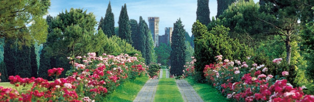 Ristorazione per gruppi vicino al Parco Sigurtà e Borghetto