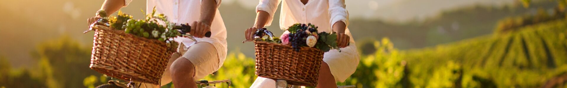 Pedalare tra Garda e Mantova: L’Hotel Agli Ulivi è la Tua Base Perfetta per Avventure Active