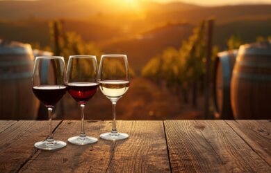 degustazione vini Verona Hotel agli ulivi