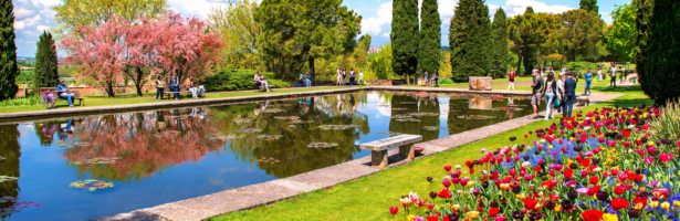 Primavera a Valeggio: La Nostra Nuova Offerta tra Gusto e Natura 🌿